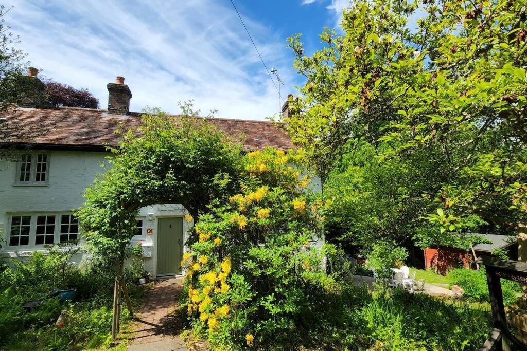 Ashdown Forest Character Cottage, 18Th Century كروبورو المظهر الخارجي الصورة